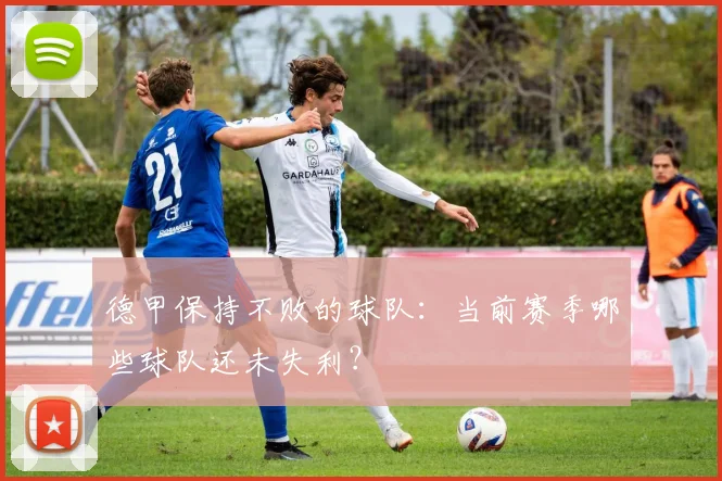 德甲保持不败的球队：当前赛季哪些球队还未失利？