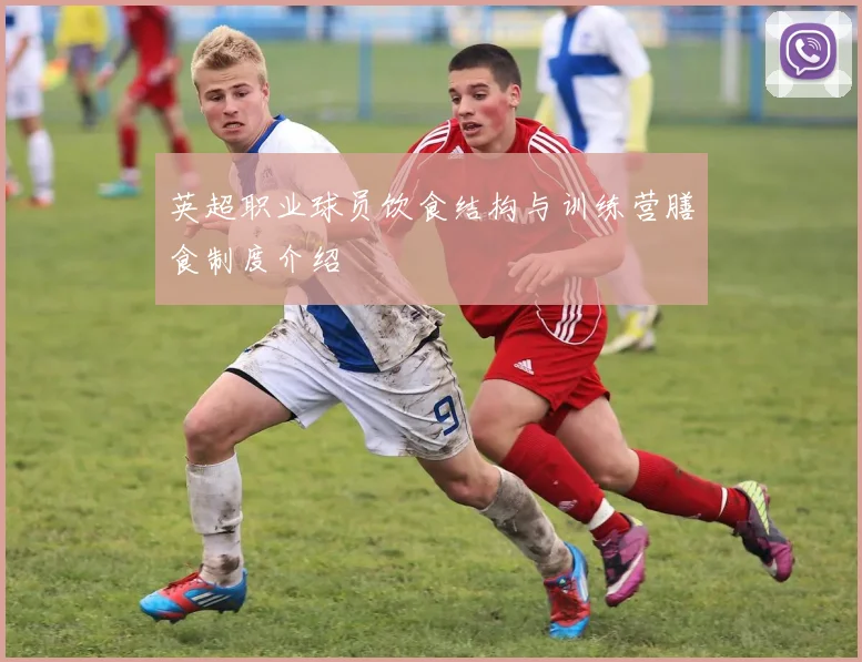 英超职业球员饮食结构与训练营膳食制度介绍