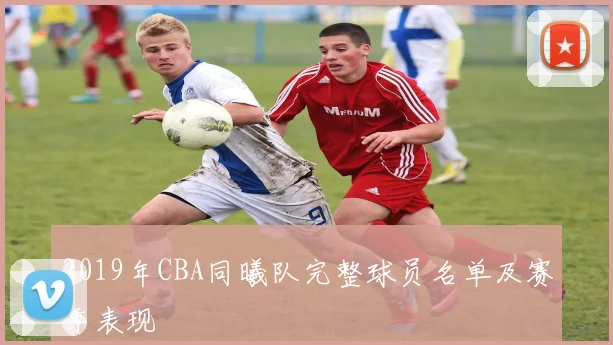 2019年CBA同曦队完整球员名单及赛季表现