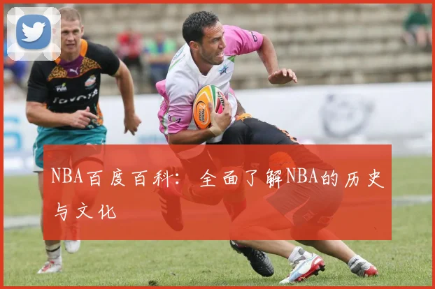 NBA百度百科：全面了解NBA的历史与文化