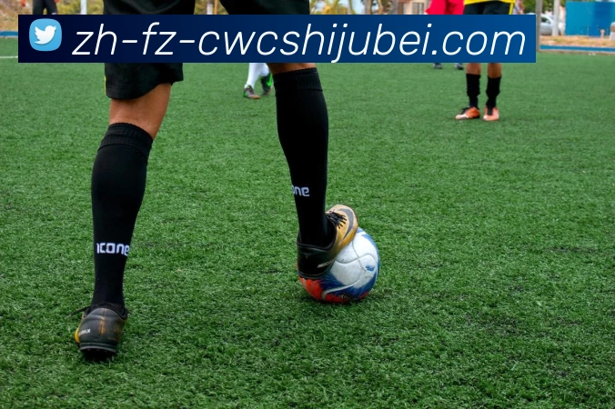 世界杯买球发展历程